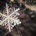 We Asked 66 Startups Just How Bad This Crypto Winter Has Been