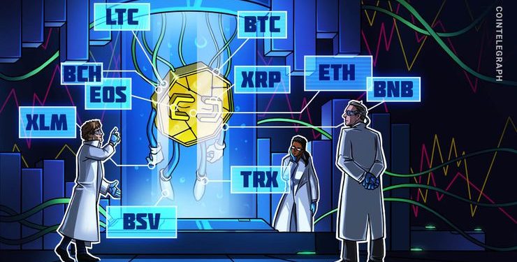 Bitcoin, Ripple, Ethereum, Litecoin, EOS, Bitcoin Cash, Tron, Stellar, Binance Coin, Bitcoin SV: Price Analysis, Feb. 8