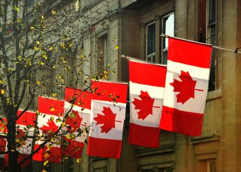 QuadrigaCX Owes Customers $190 Million, Court Filing Shows