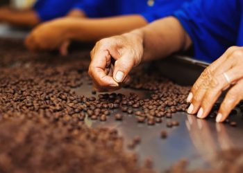 Accenture’s New Blockchain App Lets Users Tip ‘Sustainable’ Producers