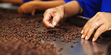 Accenture’s New Blockchain App Lets Users Tip ‘Sustainable’ Producers