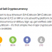 XRP Trading Support on CODEX and Bitbuy Crypto Exchange