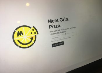 Privacy Cryptocurrency Grin Votes to Fund Third Full-Time Developer