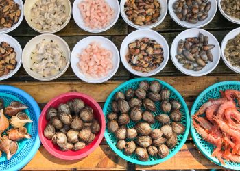 Top Korean Actor Invests in Blockchain Seafood Trade Startup