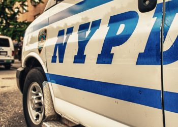 CabbageTech CEO Indicted in New York for Defrauding Crypto Investors