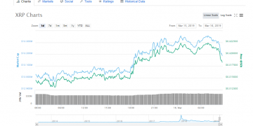 XRP Voted Higher As Preferred Crypto in 2019 & Ripple Witnessed Faster