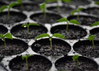 New Security Token Exchange ABE Wants to Bring Back Small-Cap IPOs
