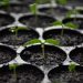 New Security Token Exchange ABE Wants to Bring Back Small-Cap IPOs