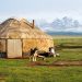 UNICEF Explores Blockchain to Improve Internet for ‘Every School’ in Kyrgyzstan