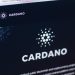Cardano Is Outperforming Rivals As Development Moves Forward