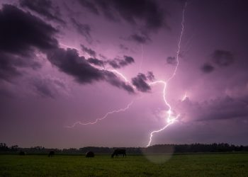 This New Lightning App Aims to Make Getting Paid in Bitcoin Easier