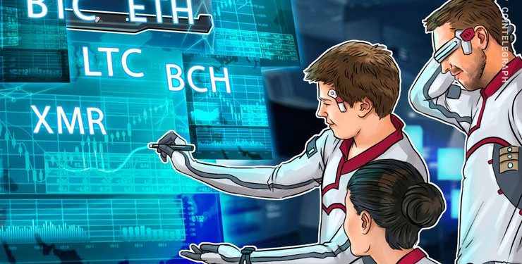 Top 5 Crypto Performers Overview: BTC, ETH, BCH, LTC and XMR