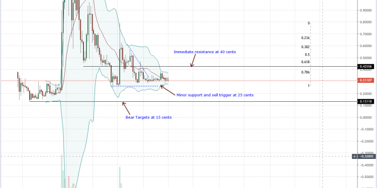 Q1 2019 Lows at 30 Cents Provide Support as Ripple (XRP) Fundamentals and Price Action Diverge