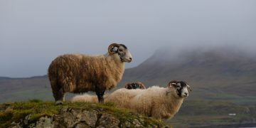 Hyperledger Announces Aries, a Toolkit for Blockchain-Based Identity Management