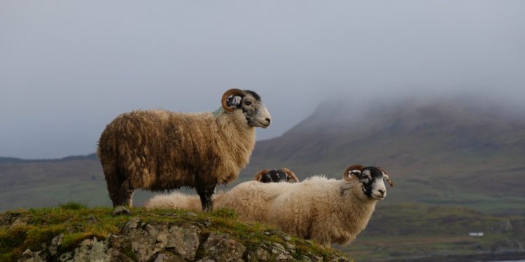 Hyperledger Announces Aries, a Toolkit for Blockchain-Based Identity Management