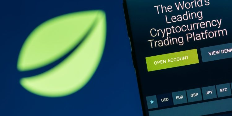 ‘Not a White Paper’: Marketing Document Details $1 Billion Bitfinex Token Sale