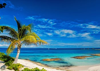 Bahamas Securities Regulator Proposes Rules for Token Sales