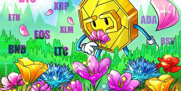 BTC, ETH, XRP, LTC, BCH, EOS, BNB, BSV, XLM, ADA: Price Analysis 10/06