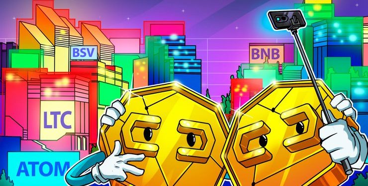 Top 5 Crypto Performers: ATOM, LTC, BSV, BNB, XRP