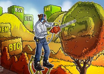 Top 5 Crypto Performers: BTC, XEM, BSV, ETH, BNB