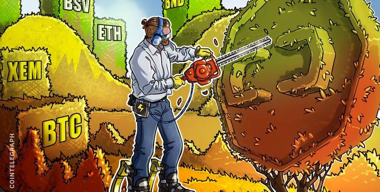 Top 5 Crypto Performers: BTC, XEM, BSV, ETH, BNB