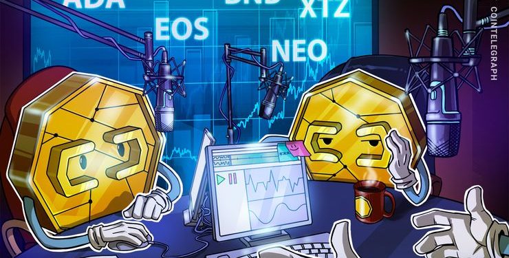 Tezos, Cardano, EOS, Binance Coin, Neo