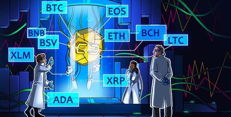 BTC, ETH, XRP, LTC, BCH, EOS, BNB, BSV, XLM, ADA: Price Analysis 12/06