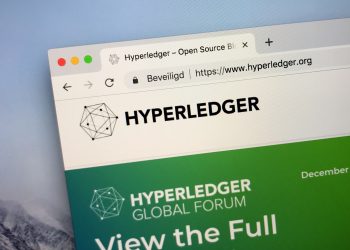 Permissioned Blockchain Platforms On The Rise, Skeptics Question Their Usefullness