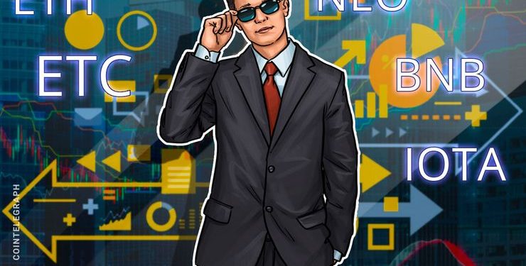 Ethereum, Ethereum Classic, NEO, IOTA, Binance Coin, Stratis