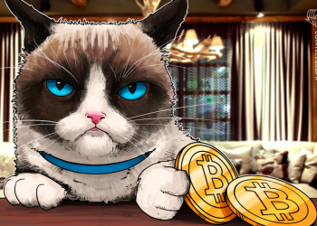 ‘I Guess I’ll Have to Hodl It’ — Peter Schiff Admits Having Bitcoin