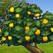 Market Maker Altonomy Raises $7M in Funding Round Led by Polychain Capital