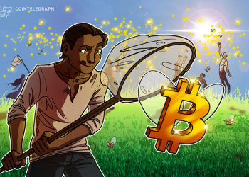 Crypto Payment Platforms Offer Working Examples — Competition Heats Up