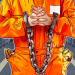 Co-Founder of Now-Defunct BitFunder Gets 14 Months Imprisonment