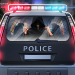 ‘Chems_USA’ Pleads Guilty to Bitcoin-Enabled Dark Web Opioid Conspiracy