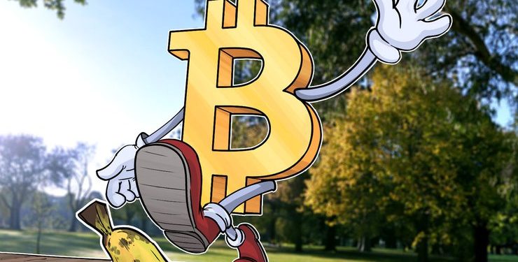 Bitcoin Sees Discrete Losses as Most Top Cryptos See Gains