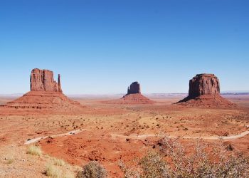 Marijuana-focused Stablecoin Issuer Added to Arizona Fintech Sandbox
