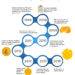 History and Use of the Crypto