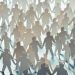 Planned Solution for FATF ‘Travel Rule’ Compliance Keeps User Data Private