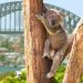 CommBank Develops Blockchain Marketplace to Boost Sustainable Development, Biodiversity
