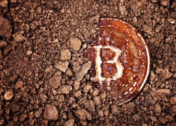 A Bitcoin Treasure Hunt Is Coming to College Campuses This Fall