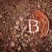 A Bitcoin Treasure Hunt Is Coming to College Campuses This Fall