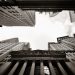 Rebranded TrueDigital Partners for ‘Imminent’ Launch of Bitcoin Derivatives