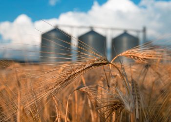 Ant Financial and Bayer to Jointly Develop Blockchain for Agriculture