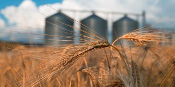 Ant Financial and Bayer to Jointly Develop Blockchain for Agriculture