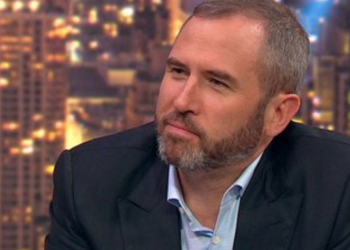 Ripple CEO Brad Garlinghouse Asserts We Own a lot of XRP