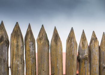 Crypto Custodian Bitgo Launches Staking for Dash, Algorand