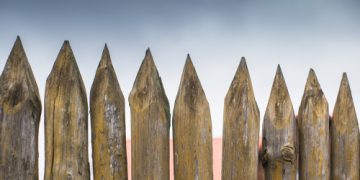 Crypto Custodian Bitgo Launches Staking for Dash, Algorand