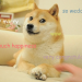 Binance US Announces Dogecoin Listing