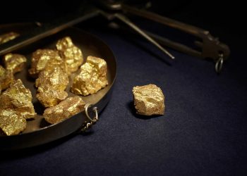 ‘Gold-Backed’ Crypto Token’s Promoter Investigated by Florida Regulators