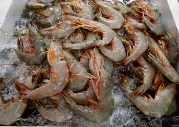 Top US Food Co-Op to Track Seafood Using Mastercard’s Blockchain Tech